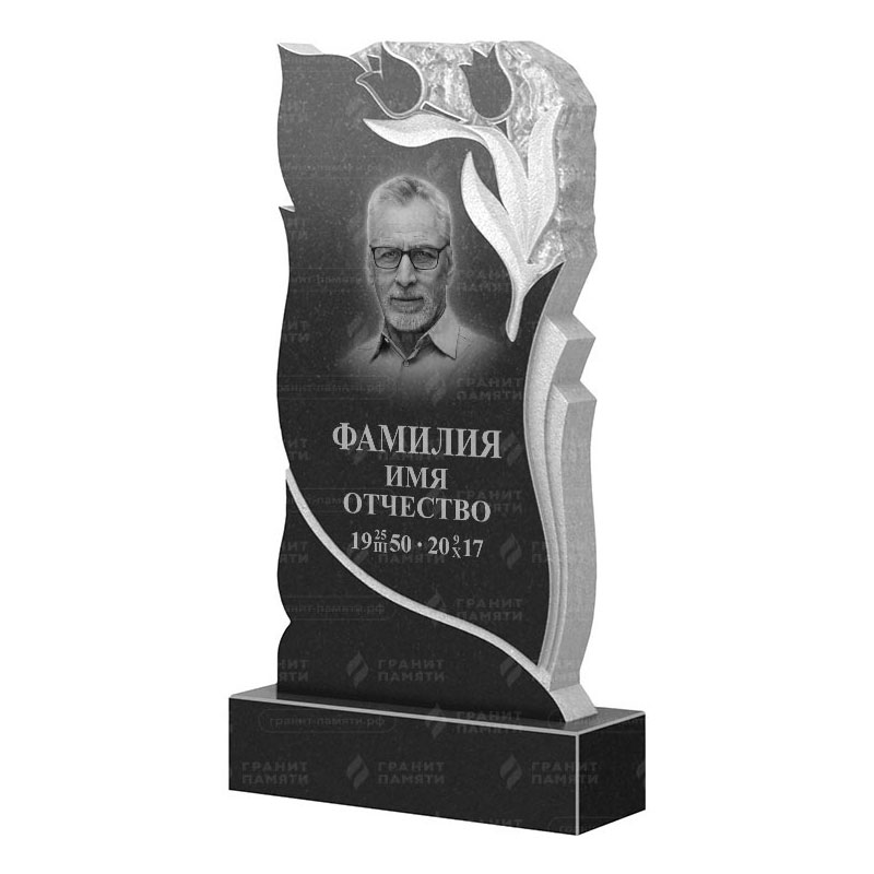 Гранитные памятники в Альметьевске | Гранитный памятник ФГ-223