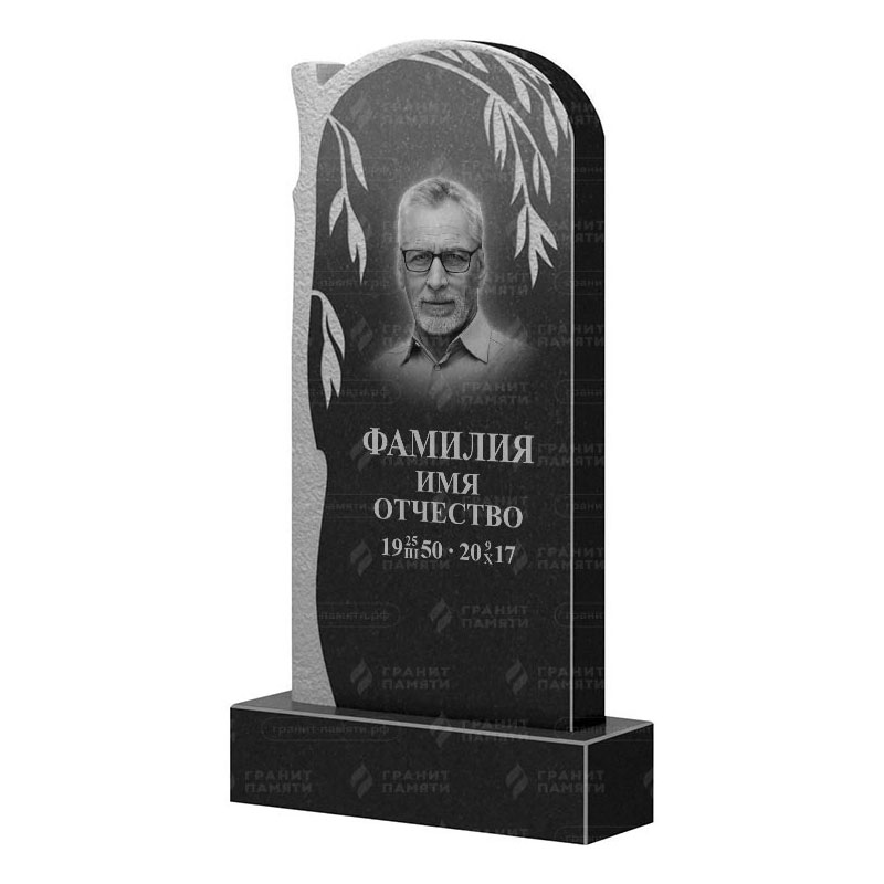 Памятники из гранита с деревом в Альметьевске | Гранитный памятник ФГ-090